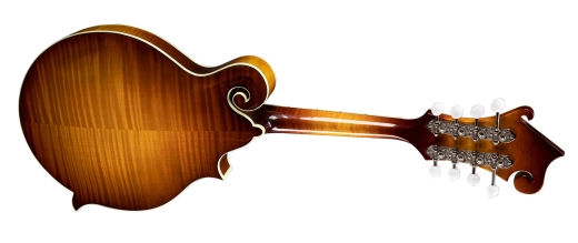 MD615 F-Style Electric Mandolin with Gigbag, Left-Handed - Goldburst