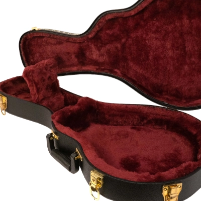 HDM Mandolin F-Style Shaped Case