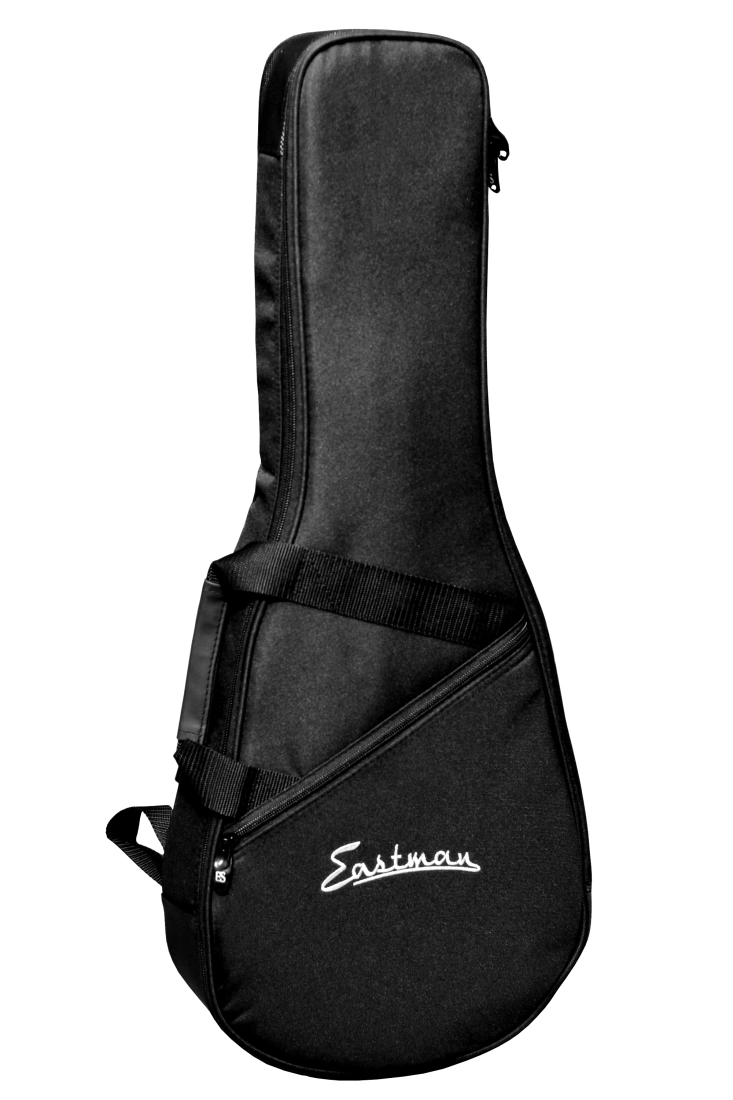 MD305/MD605 Mandolin Case