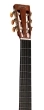 000C12-16E Nylon Spruce/Mahogany Acoustic/Electric Guitar