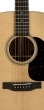 D-16E Dreadnought Acoustic/Electric Guitar - Rosewood