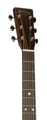 D-16E Dreadnought Acoustic/Electric Guitar - Rosewood