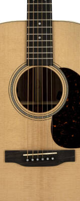 D-16E Dreadnought Acoustic/Electric Guitar - Rosewood
