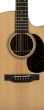 GPC-16E Grand Performance Acoustic/Electric Guitar - Rosewood