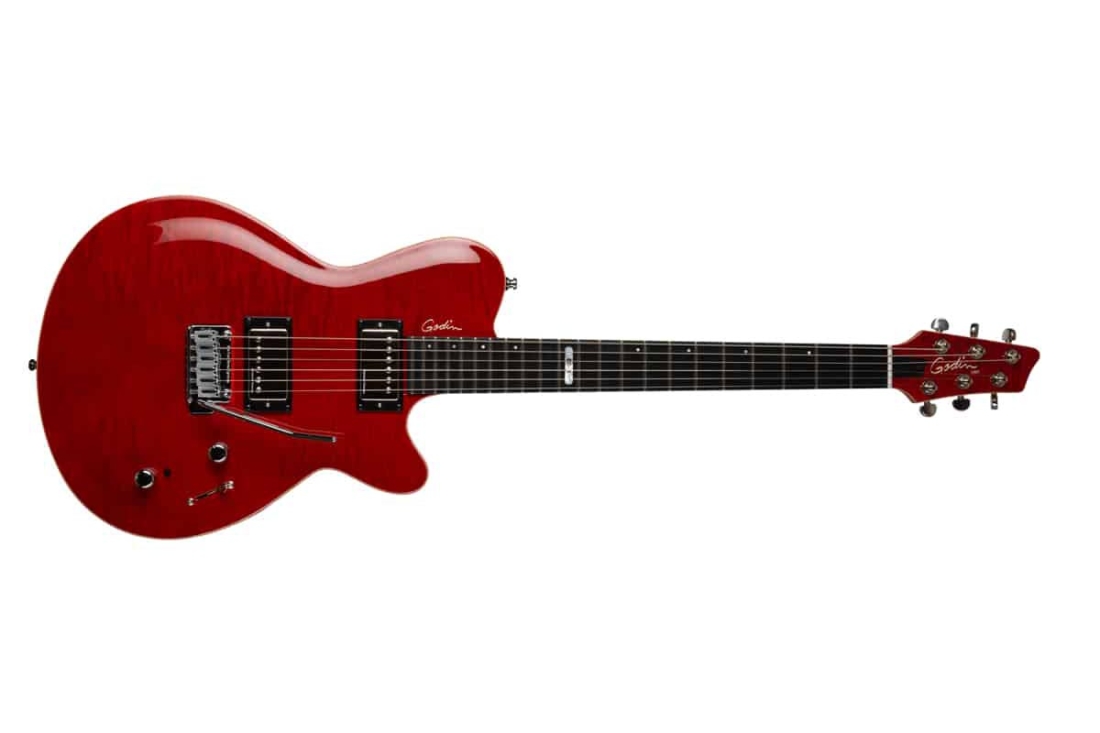 Guitare �lectrique DS-1 signature Daryl�Stuermer (�tui souple inclus)