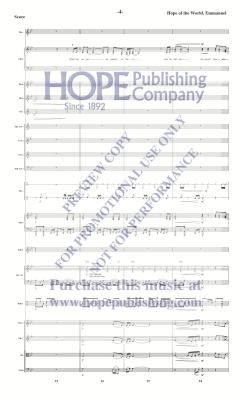 Hope of the World, Emmanuel - Raney - Orchestration