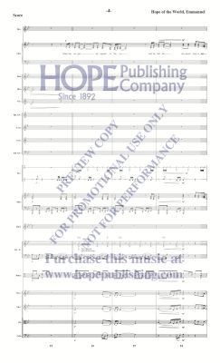 Hope of the World, Emmanuel - Raney - Orchestration