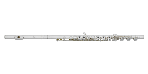 Amadeus Flutes - AF680 Intermediate Silver Flute with Offset G and C Footjoint