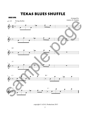 The Blues Play-A-Long and Solos Collection for Flute (Beginner Series) - Gordon - Book