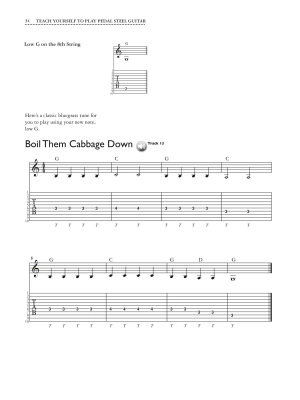 Teach Yourself to Play Pedal Steel Guitar - Stoebenau - Book/Audio Online