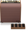 TC-Helicon - Harmony V100 2-Channel Acoustic Amplifier