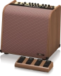 Harmony V100 2-Channel Acoustic Amplifier