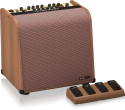 Harmony V100 2-Channel Acoustic Amplifier