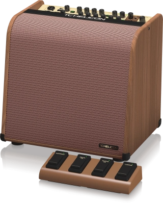 Harmony V100 2-Channel Acoustic Amplifier