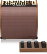TC-Helicon - Harmony V60 2-Channel Acoustic Amplifier