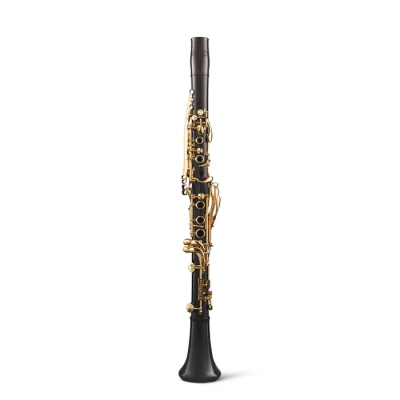 Custom Lumiere Bb Grenadilla Clarinet with Gold-Plated Keys