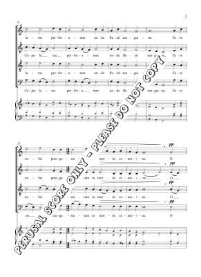 Ave Verum Corpus - Martin - SATB