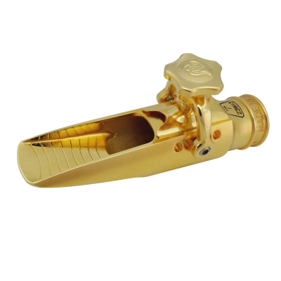 Lakshmi Alto Saxophone Mouthpiece - 8, Gold-Plated