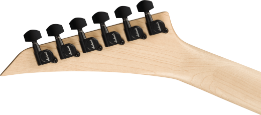 JS Series Dinky JS20 DKQ 2PT, Amaranth Fingerboard - Transparent Tobacco Burst