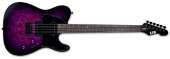 ESP Guitars - LTD TE-200DX Electric Guitar - Purple Burst