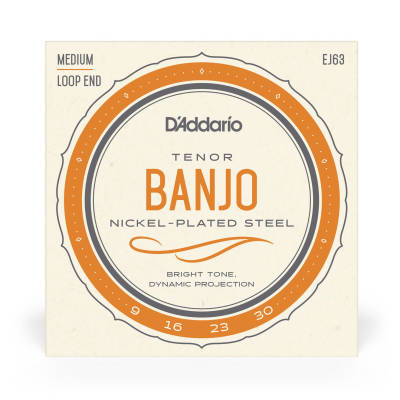 EJ63 - Nickel Tenor Banjo