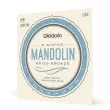 DAddario - EJ62 - Mandolin 80\/20 Bronze Light 10-34
