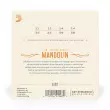 EJ67 - Nickel Mandolin Strings Medium 11-39
