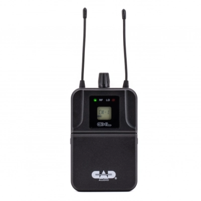 Dual Wireless In Ear Monitor System