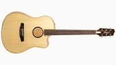 L.R Baggs - AEG-1 Acoustic\/Electric Guitar with Gigbag - Natural Engelmann Spruce