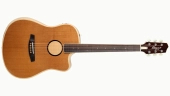 L.R Baggs - AEG-1 Acoustic\/Electric Guitar with Gigbag - Torrefied Sitka Spruce