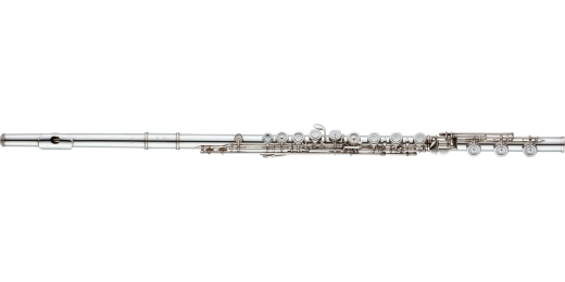 Altus Flutes - Flute Damore with Split E, Offset G, S Cut Headjoint