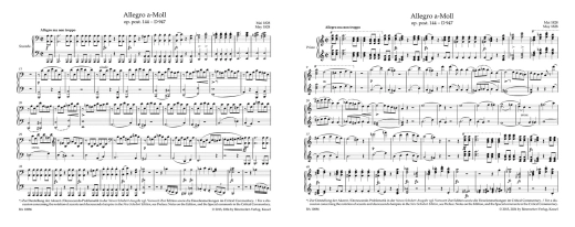 Allegro in A minor op. post. 144 D 947 \'\'Lebenssturme\'\' - Schubert/Litschauer - Piano Duet (1 Piano, 4 Hands) - Book