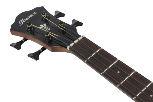 AEGB25E AEG 4 String Acoustic/Electric Bass - Transparent Black Sunburst