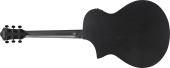 AEWC621 Spruce/Sapele Acoustic/Electric Guitar - Black Out