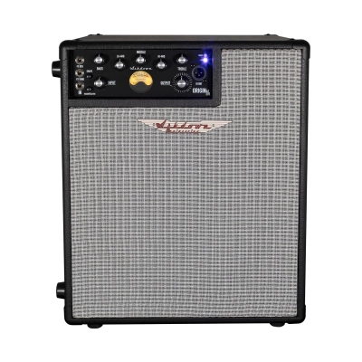 Ashdown Engineering - OriginAL EVO 1x12 300W Combo