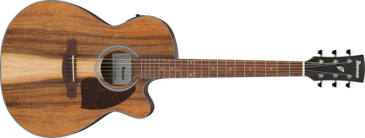Ibanez - PC50WSCE Cutaway Grand Concert Acoustic/Electric Guitar - Open Pore Brown