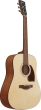 PF50 Dreadnought Spruce/Meranti Acoustic Guitar - Natural