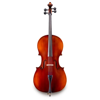 Eastman Strings - VC95 Carved Top Laminate Cello Outfit - 4/4