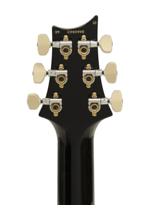 Custom 24 Electric Guitar with 10-Top Flame Top and Case - Faded Whale Blue