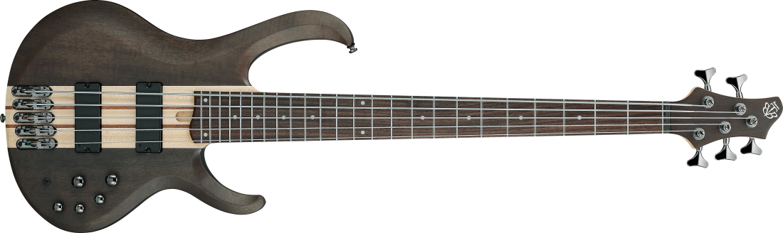 BTB Standard 5-String Bass - Transparent Gray Flat