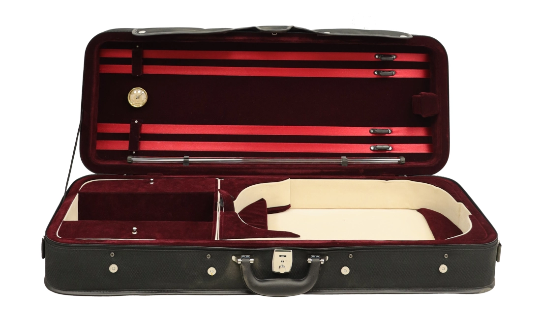 Suspensionair Oblong Viola Case