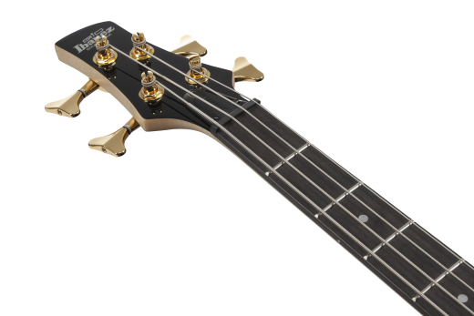 Gio SR 4-String Electric Bass - Transparent Pale Black Burst