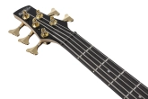 Gio SR 5-String Electric Bass - Transparent Pale Black Burst