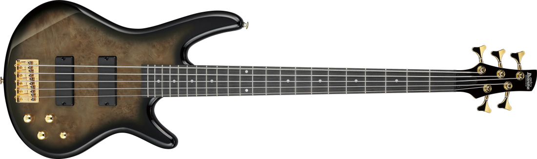 Gio SR 5-String Electric Bass - Transparent Pale Black Burst