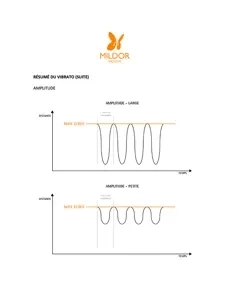 Violoniste intermediaire 1 - McDonald - Student Workbook