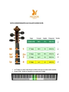 Violoniste debutant - McDonald - Student Workbook