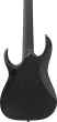 RGD Iron Label 7-String Electric Guitar - Black Flat