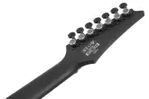 RGD Iron Label 7-String Electric Guitar - Black Flat