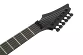 RG Iron Label 6-String Electric Guitar - Black