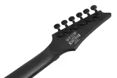 RG Iron Label 6-String Electric Guitar - Black